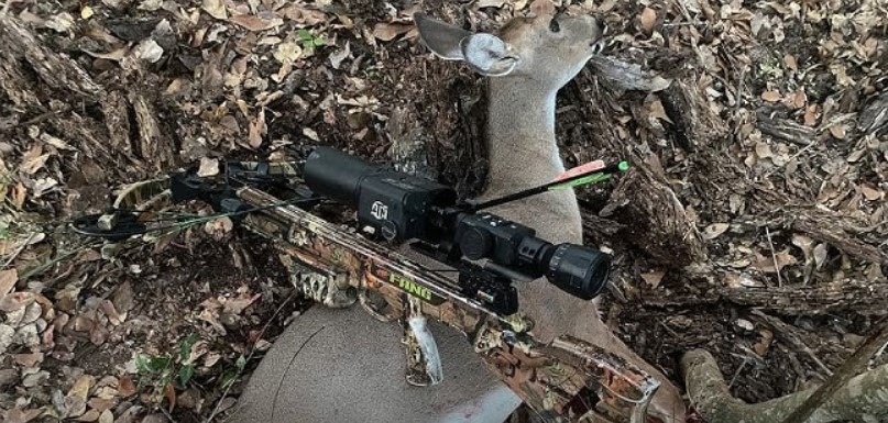 Crossbow scope for hunting